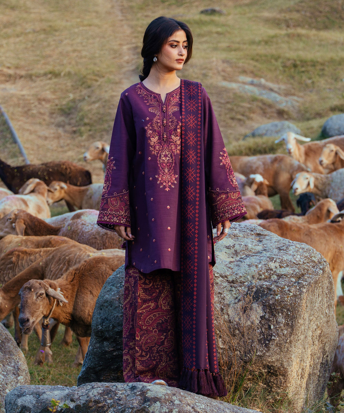 3 Piece - Embroidered Khaddar Suit
