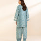 2 Piece - Embroidered Light Khaddar Suit