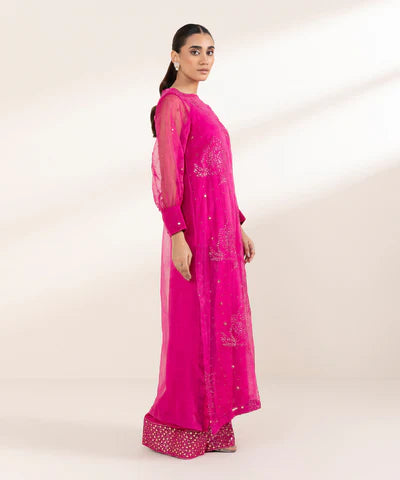 2 Piece - Embroidered Organza Suit