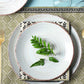 Native Mist - Placemats